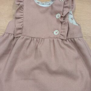 Zara Soft Pink Baby Dress with Floral Lining